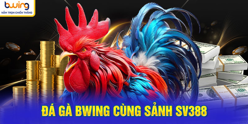 Đá gà BWING cùng sảnh SV388